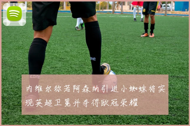 内维尔称若阿森纳引进小蜘蛛将实现英超卫冕并夺得欧冠荣耀